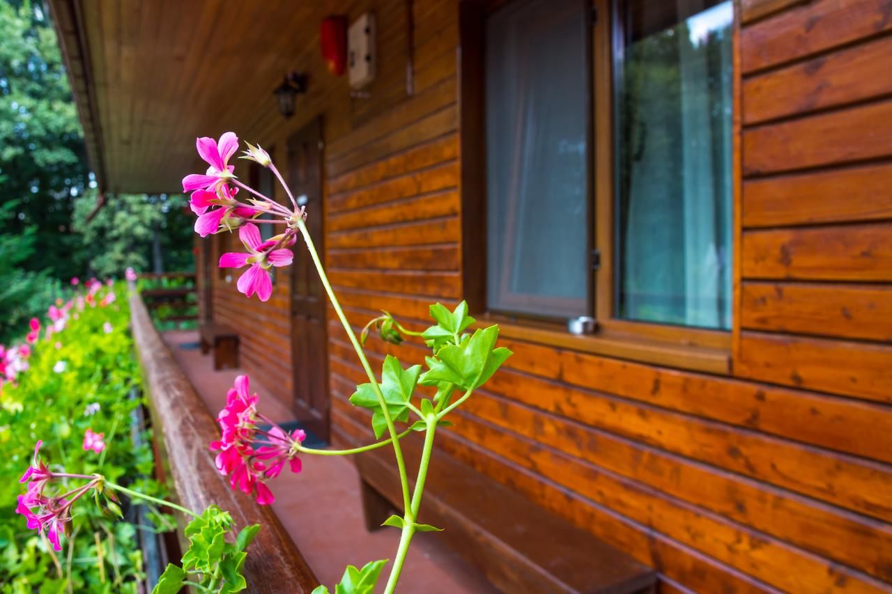 Гостевой дом Pensiunea Casa Verde Bucuresti Бухарест-21