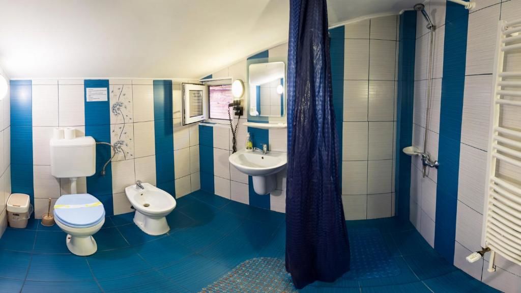 Гостевой дом Pensiunea Casa Verde Bucuresti Бухарест-56